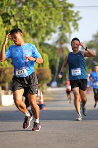 BIB: 6177, 5789
                            <button type="button" onclick="openModal(3499247)" class="btn btn-primary btn-sm float-right btn-popup" data-toggle="modal" data-target=".modal-high-quality">
                        <i class="fas fa-shopping-cart"></i> Add to Cart
                    </button>
                                            <button type="button" onclick="isThisMe(3499247, true)" class="btn btn-success btn-sm float-right btn-popup btn-isme hidden" data-toggle="tooltip" data-placement="bottom" title="นี่คือรูปของคุณใช่ไหม คลิกที่นี่เพื่อเอาเข้าอัลบั้ม">
                        <i class="fas fa-plus"></i> Add to album
                    </button>
                    <button type="button" onclick="isThisMe(3499247, false)" class="btn btn-warning btn-sm float-right btn-popup btn-isnotme hidden">
                        <i class="fas fa-ban"></i> Remove from album
                    </button>